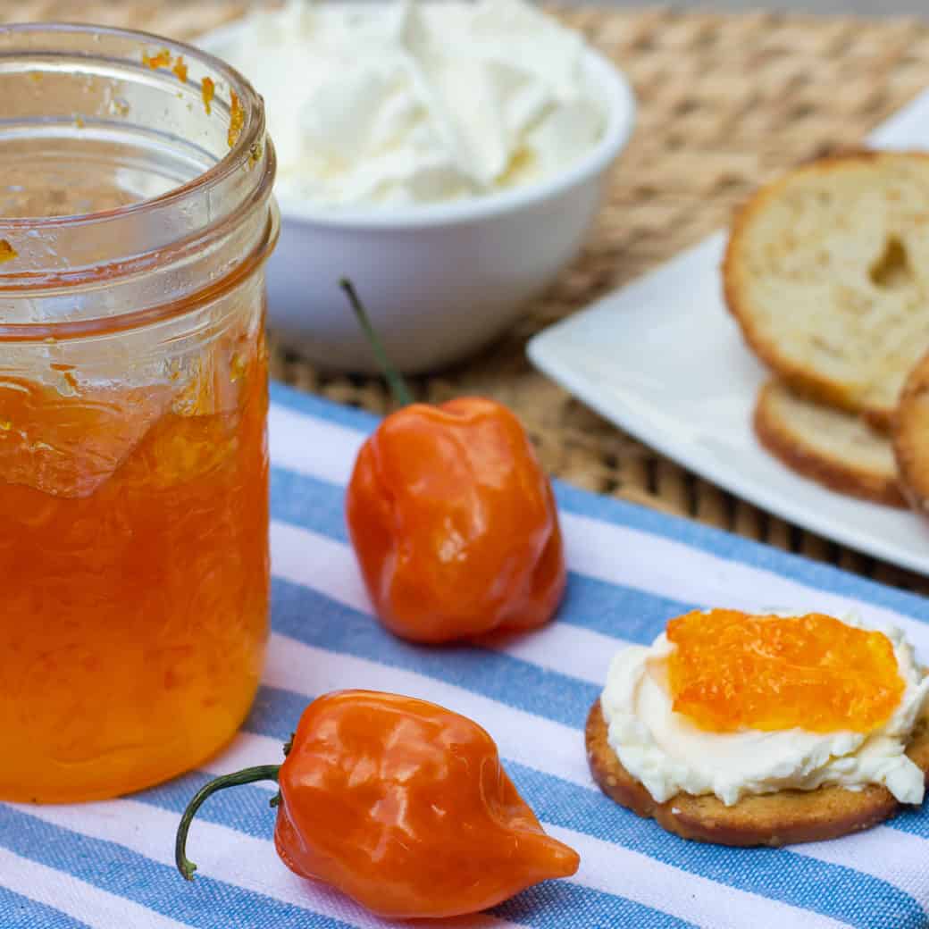 Sweet Red Pepper Jelly Recipe