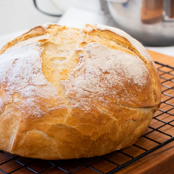 Cloche Bread Baker 
